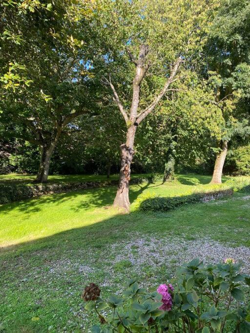 Appartement En Campagne Berville-sur-Mer المظهر الخارجي الصورة